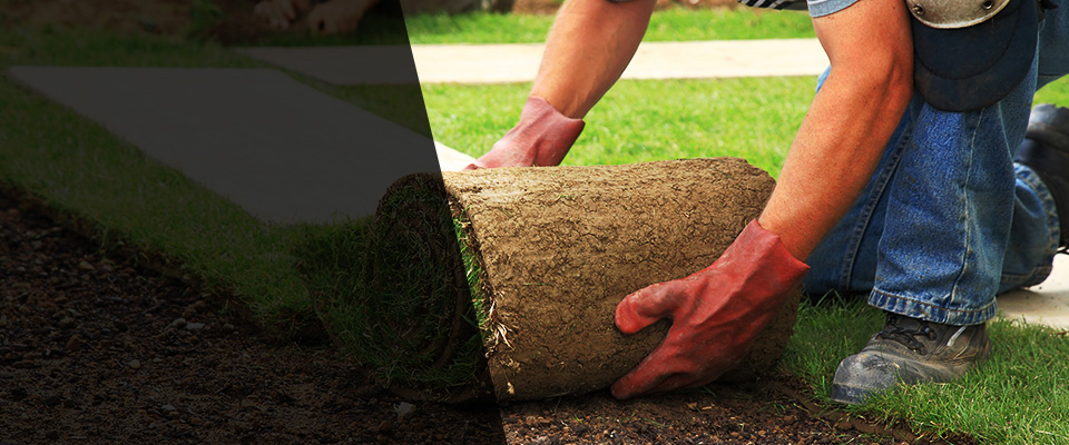 East Moline Landscapers